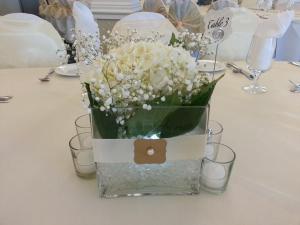 1911701_722883997743481_1734638487_n